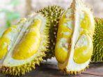 hindari-makan-durian-bersamaan-dengan-makanan-dan-minuman-ini-bisa-berbahaya-bagi-kesehatan.jpg