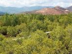 hutan-bakau-flores_20160118_174154.jpg