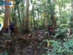 hutan_20170529_112708.jpg