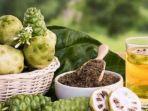 ilustrasi-buah-mengkudu-112222.jpg