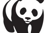 ilustrasi-logo-wwf_20150505_181239.jpg
