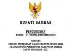 info-lengkap-cpns-sambas-2021-simak-format-surat-yang-harus-dibuat-rincian-formasi-cpns-sambas.jpg