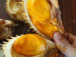 inilah-buah-lai-mirip-durian-kandungan-gizi-buah-lai-sangat-baik-untuk-tubuh.jpg