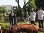 insan-planters-ptpn-xiii-mengadakan-kegiatan-berbagi-hewan-kurban-dalam-semangat-2.jpg