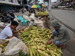 jagung_20171230_184909.jpg
