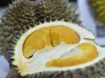 jangan-pernah-makan-durian-bersamaan-dengan-7-makanan-minuman-ini-bisa-sebabkan-kematian.jpg