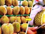 jangan-sampai-ditipu-penjual-begini-cara-mudah-jitu-memilih-durian-manis.jpg