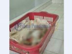 jasad-bayi-perempuan_20170406_170310.jpg