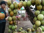jumai-saat-menunjukkan-kelapa-muda_20180518_085255.jpg