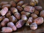 kapas-sari-kurma-bisa-diserap-maksimal-oleh-tubuh-batas-aman-dan-waktu-yang-tepat-makan-kurma.jpg