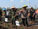 kapolda-ikut-tanam-padi.jpg<pf>tanam-padi-joget.jpg<pf>tanam-pad-di-kuburaya.jpg<pf>tanam-padi-joget-ria.jpg<pf>midji-pakai-baju-hitam.jpg