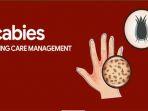 kenali-gejala-scabies.jpg