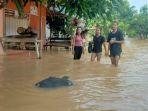 kondisi-banjir-di-sejumlah-desa-di-kecamatan-tumbang-titi.jpg