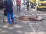 korban-tewas_20171216_140340.jpg