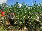 Dorong Optimalisasi Lahan Produktif Untuk Ketahanan Pangan