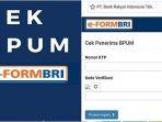 langkah-pencairan-blt-rp-24-juta-di-bri-cek-nama-penerima-banpres-umkm-eformbricoidbpum.jpg