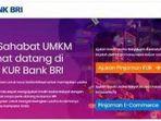 link-cek-status-pengajuan-pinjaman-kur-bri-login-httpspinjamanbricoidpengajuanformtracking.jpg