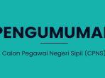 link-pengumuman-hasil-skd-cpns-2021-dan-daftar-kementerian-yang-sudah-mengumumkan-kelulusan.jpg