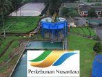 lowongan-kerja-di-ptpn-2020-asisten.jpg