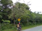 lutung-merah_20170814_003209.jpg