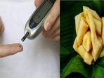 manfaat-tape-singkong-untuk-penderita-diabetes.jpg