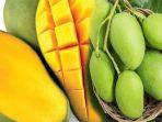 mangga-bisa-turunkan-gula-darah-ini-7-manfaat-buah-mangga-untuk-kesehatan.jpg