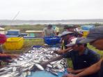 masyarakat-desa-sepok-laut_20160901_101622.jpg
