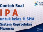 materi-pelajaran-IPA-Kelas-11-SMA.jpg