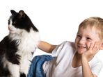 Tahukah Kamu, Ternyata Memelihara Kucing Bisa Mengurangi Risiko Terkena Penyakit Jantung