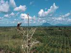 membangun-SUTT-150-kV-Tayan-Sandai.jpg