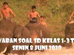 mengapa-irwan-sedih-melihat-gajah-dilatih-soal-tvri-sd-kelas-1-3-senin-8-juni-2020.jpg