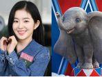 menggemaskan-si-cantik-irene-red-velvet-dipanggil-dumbo-dan-kejutan-fans-di-hari-ulang-tahunnya.jpg