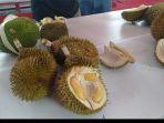 mini-kontes-durian-punggur-2019.jpg