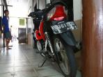 motor-jambret_20160216_221514.jpg
