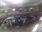 motor-tetimpa-pohon.jpg