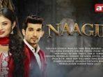 naagin-antv-antv.jpg