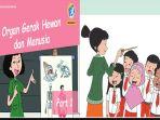 organ-gerak-hewan-dan-manusia-buku-tematik-tema-4-kelas-1.jpg