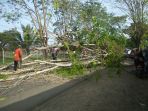 pangkas-pohon_20170309_164544.jpg