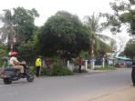 pangkas-pohon_20170822_145552.jpg