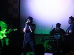 parsley_20171023_230739.jpg