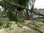 pemangkasan-pohon_20171205_194204.jpg