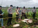 penemuan-mayat-di-lokasi-pemakaman-warga-tionghoa.jpg