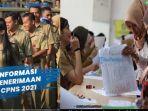 penerimaan-pembukaan-cpns-banyuwangi-2021.jpg