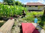 pinoh-jagung.jpg