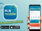 pln-mobile-22210023.jpg