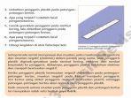 praktikkan-kegiatan-buku-tema-7-kelas-4-halaman-49-56.jpg