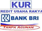 proses-cair-pinjaman-kur-httpspinjamanbricoidpengajuanformtracking-cek-pengajuan-pinjaman.jpg