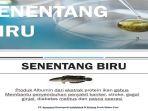 pt-agrapana-damayanti-indobiotek-agrapanabio-bakal-membangun.jpg