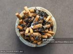 rokok-sangat-berbahaya-bagi-tubuh.jpg