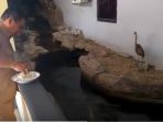 rutinitas_20180320_132909.jpg